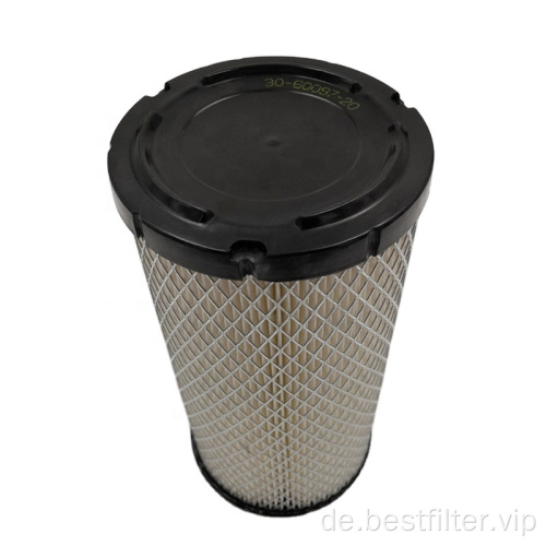 Luftfilter Hochleistungs-Autoteile 30-60097-20 für Thermo King Filter verwenden